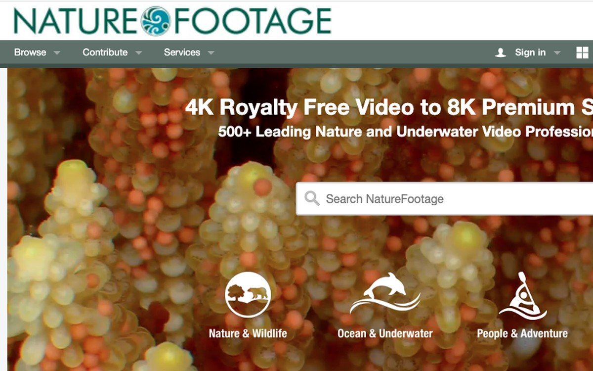 NatureFootage